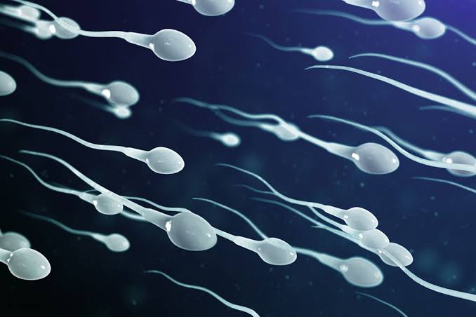 Through the Journey of the One Surviving Sperm