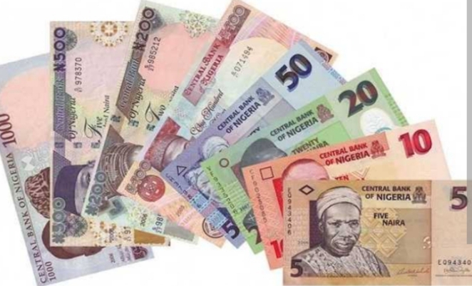 EXPLAINER: Naira Notes and Faces on Them 