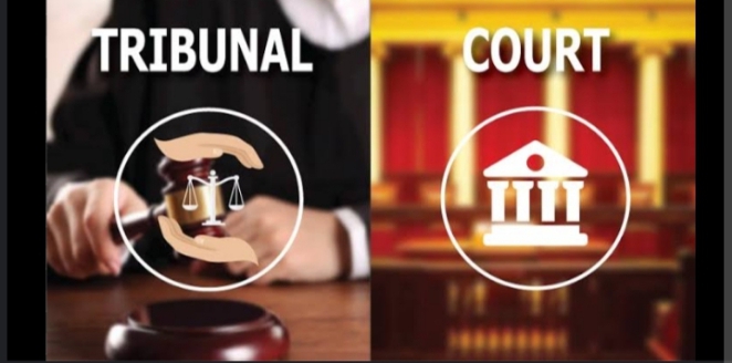 Understand the Differences Between a Court and a Tribunal