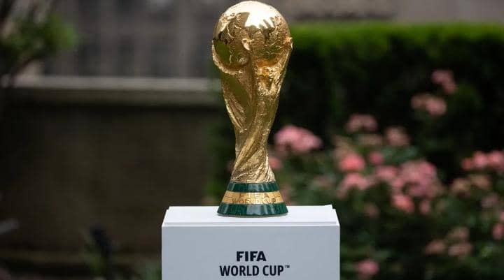 Knowing the Secrets of the FIFA World Cup Trophy