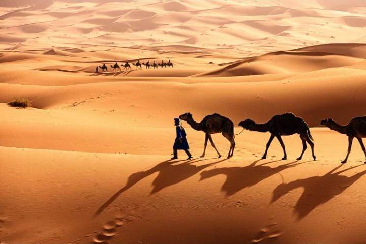 A Journey Through Africa’s Vast Desert