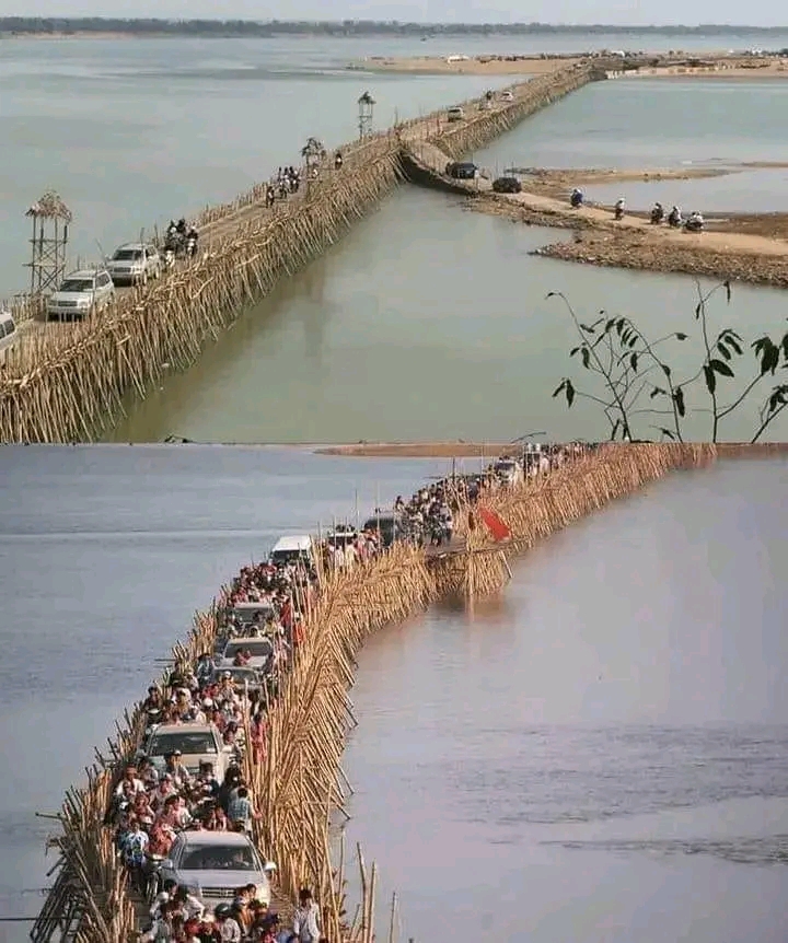 The Bamboo Bridge