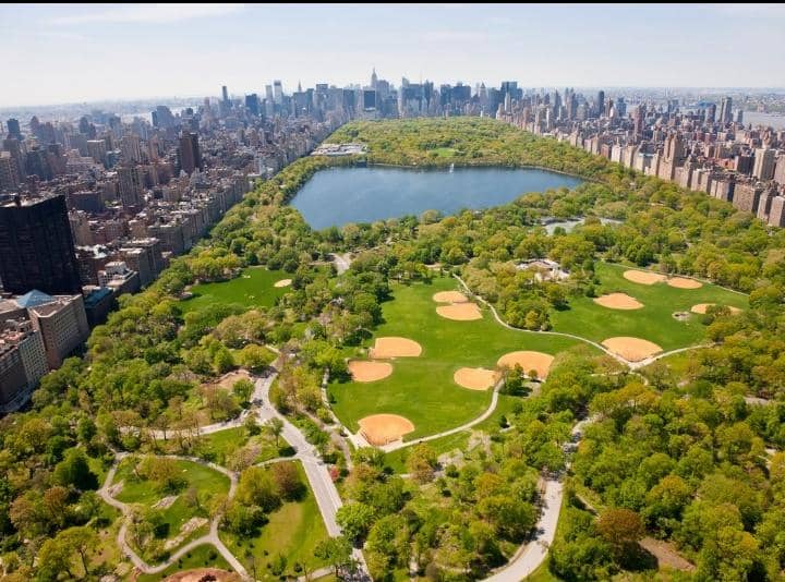 Central Park: A Sprawling Oasis in the Heart of New York City