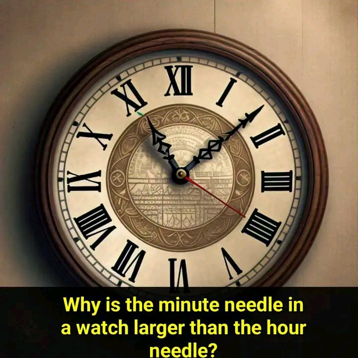 Why Is the Minute Hand Longer Than the Hour Hand in a Watch?