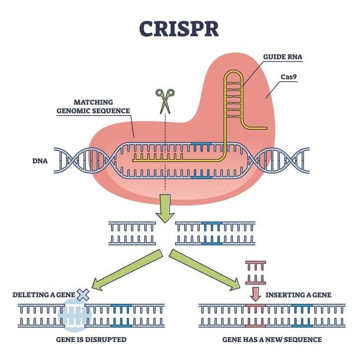 One of the Wonders of Science: The CRISPR Revolution