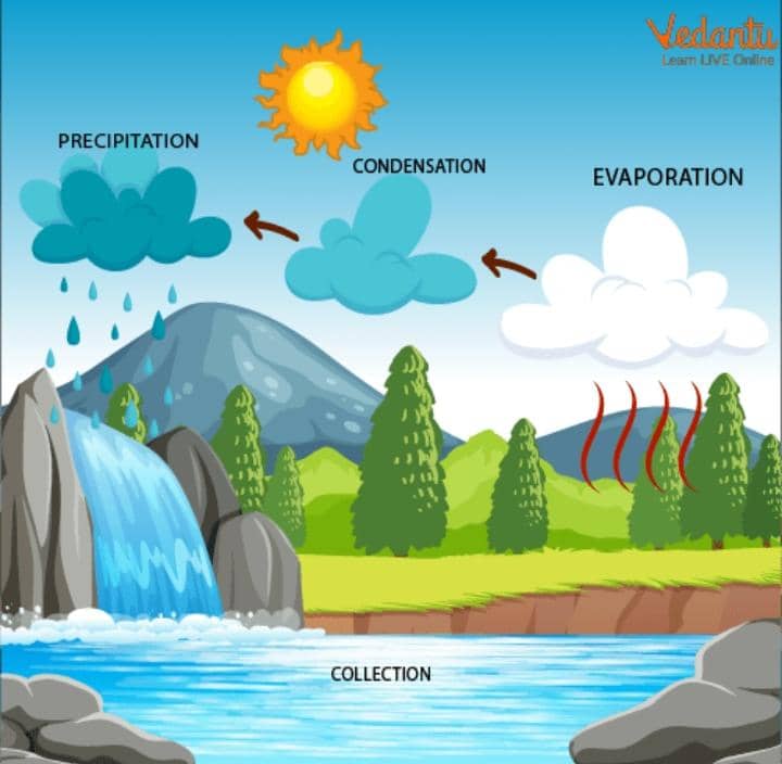 The Mystery of Rain: Where Does It Really Come From?