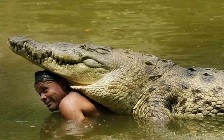 The Unlikely Bond: A Fisherman and His Crocodile Friend