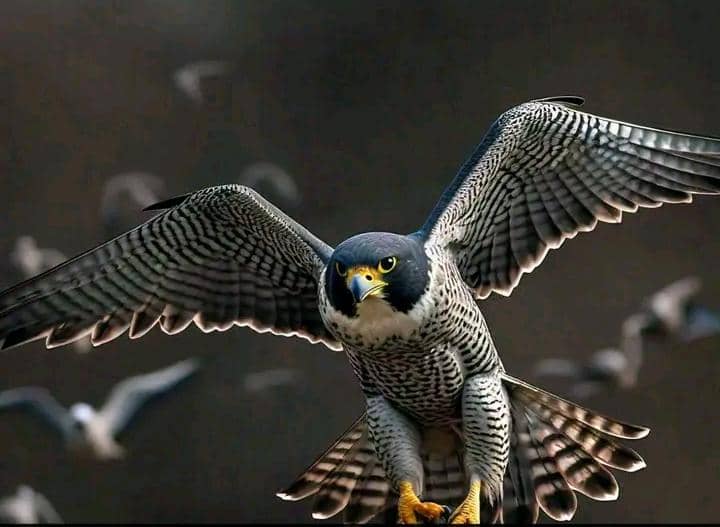 The Fastest Bird in the World: How Fast Can It Fly?