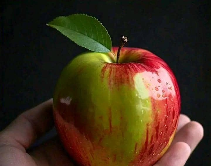 The Most Expensive Apple in the World