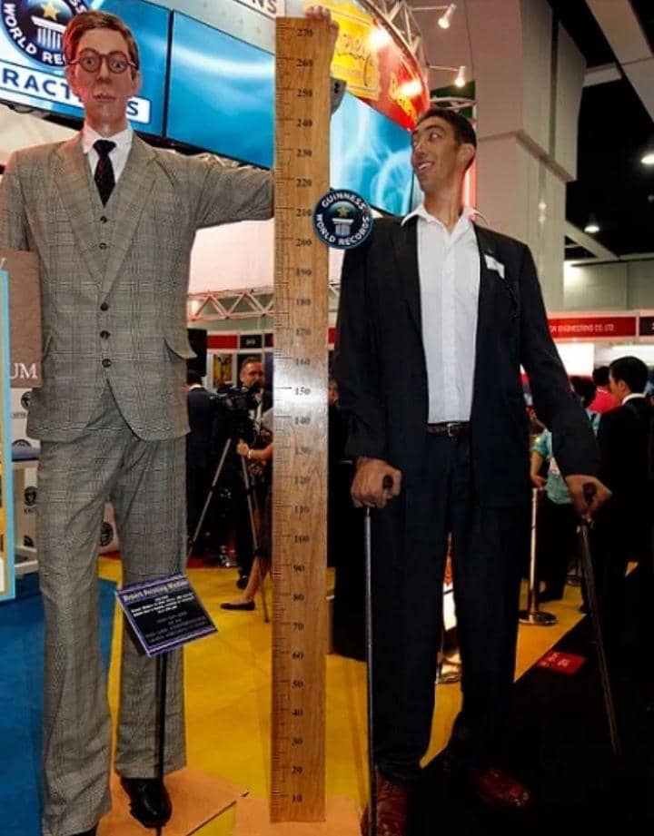 The Tallest Living Man