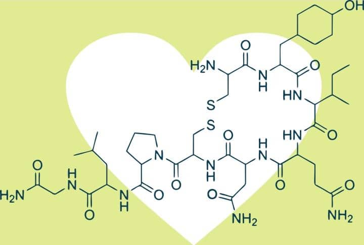 The Love Hormone: