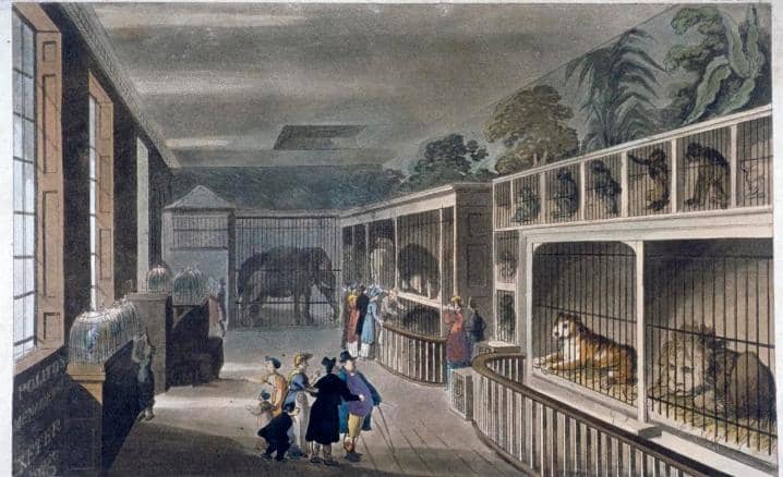 The First Zoo in the World: Tiergarten Schönbrunn