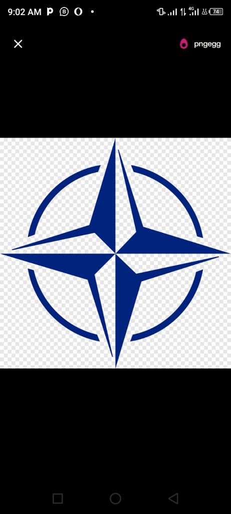 NATO NEXUS