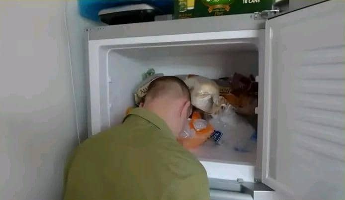 241543903: The Story Behind the Viral Freezer Head Meme